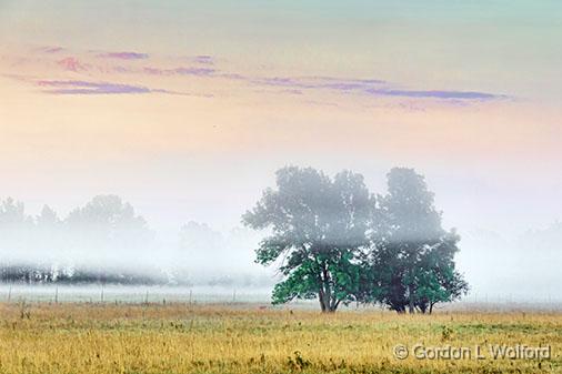 Standing Out In Their Field_26041.jpg - Photographed near Kilmarnock, Ontario, Canada.